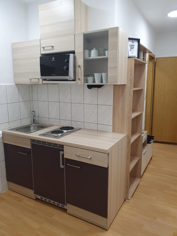 Railway Station City Modern Apartment Maribor Dış mekan fotoğraf